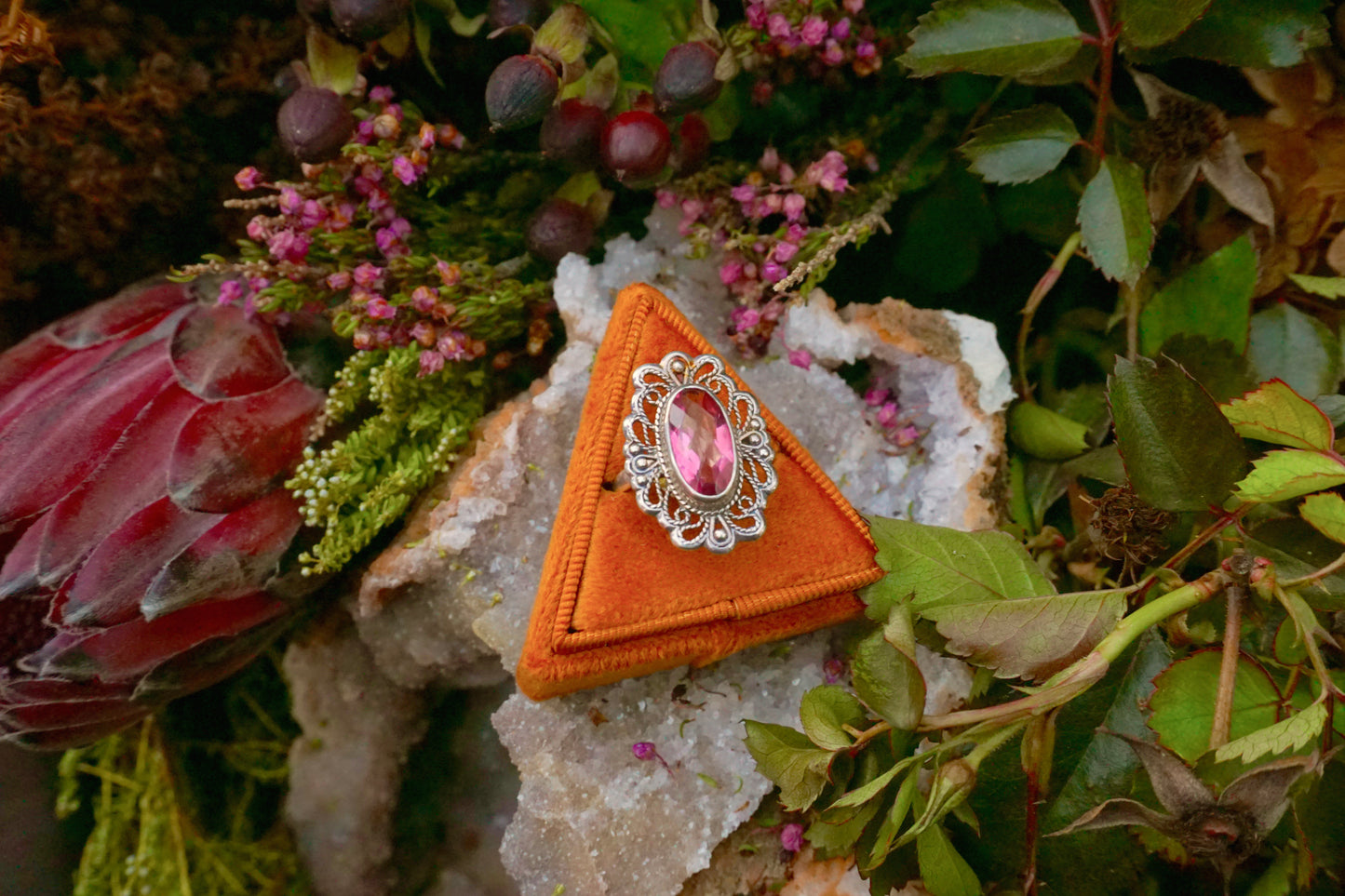 Pink Silver Scallops