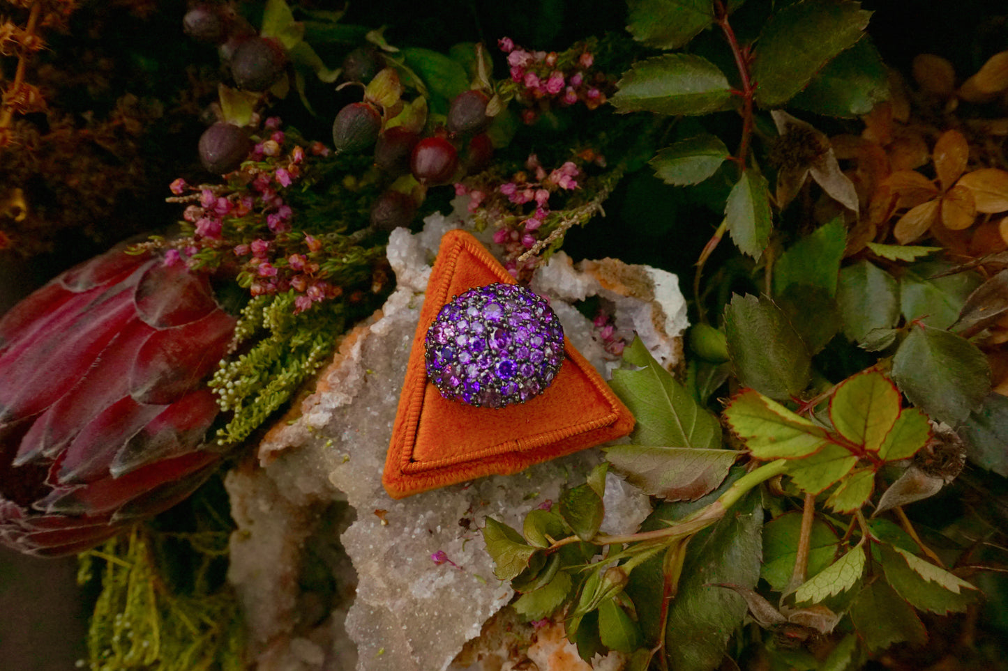 Purple Cocktail