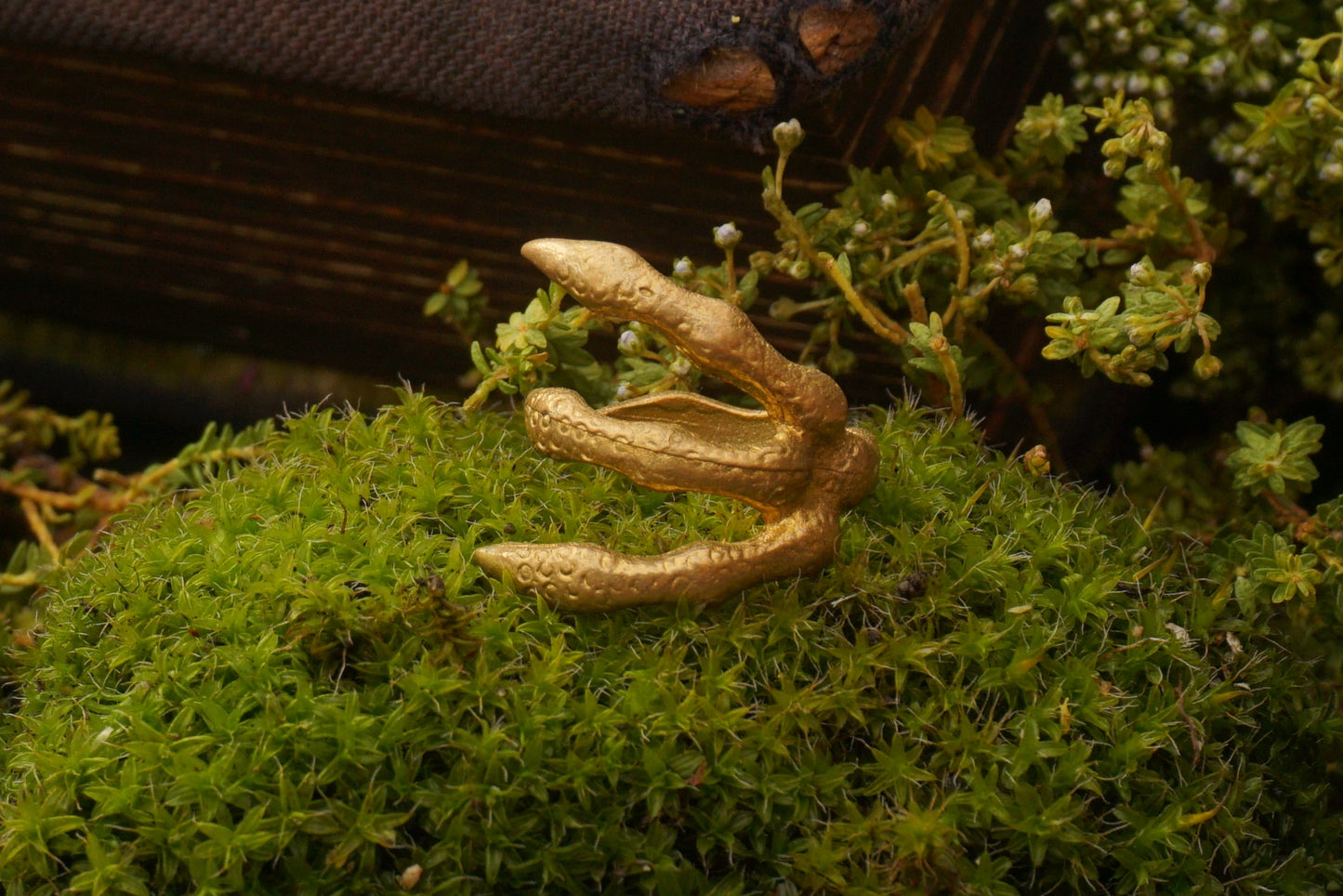 Claw