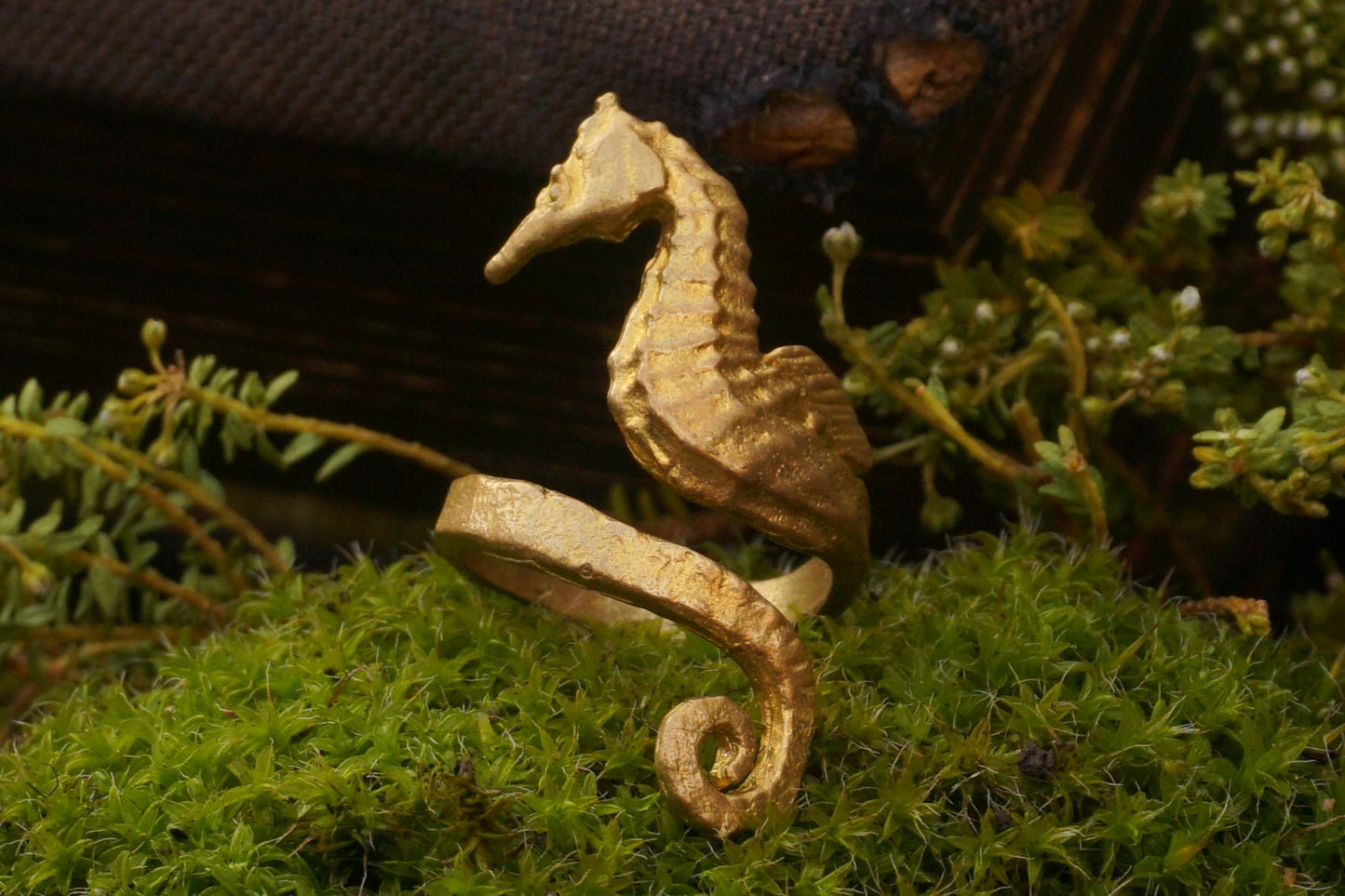 Seahorse