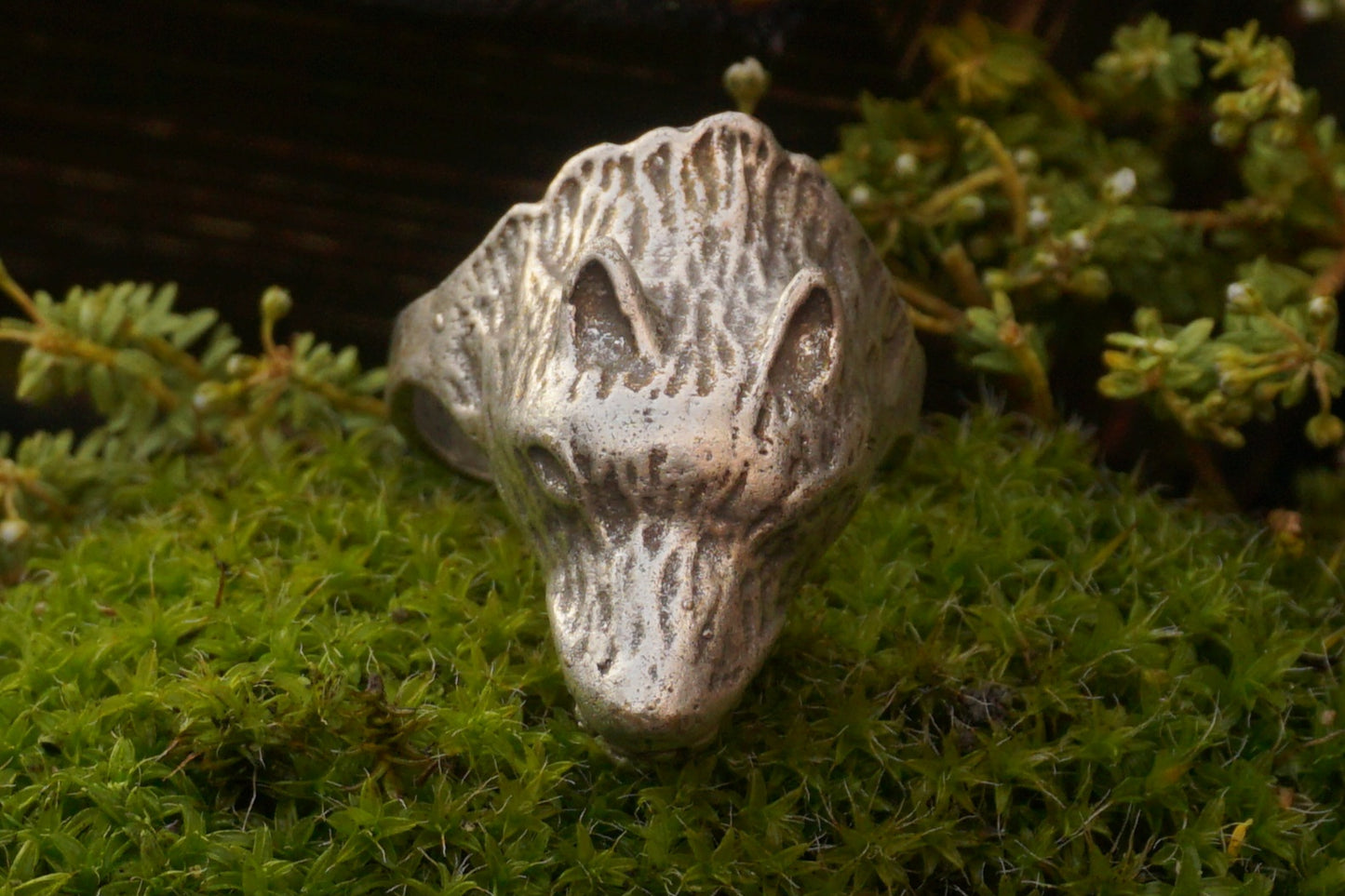 Wolf Head