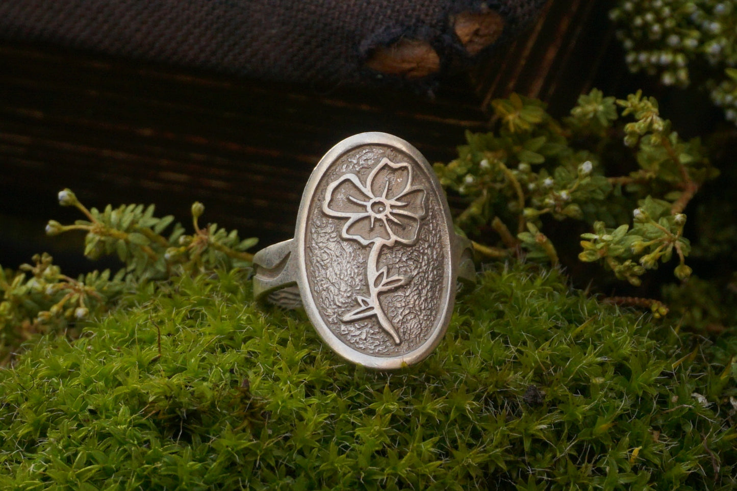 Forget-Me-Not