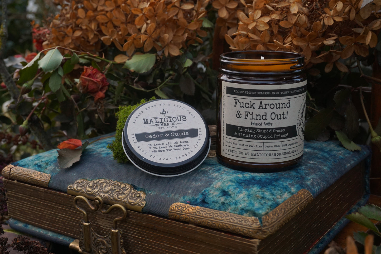 Fuck Around and Find Out