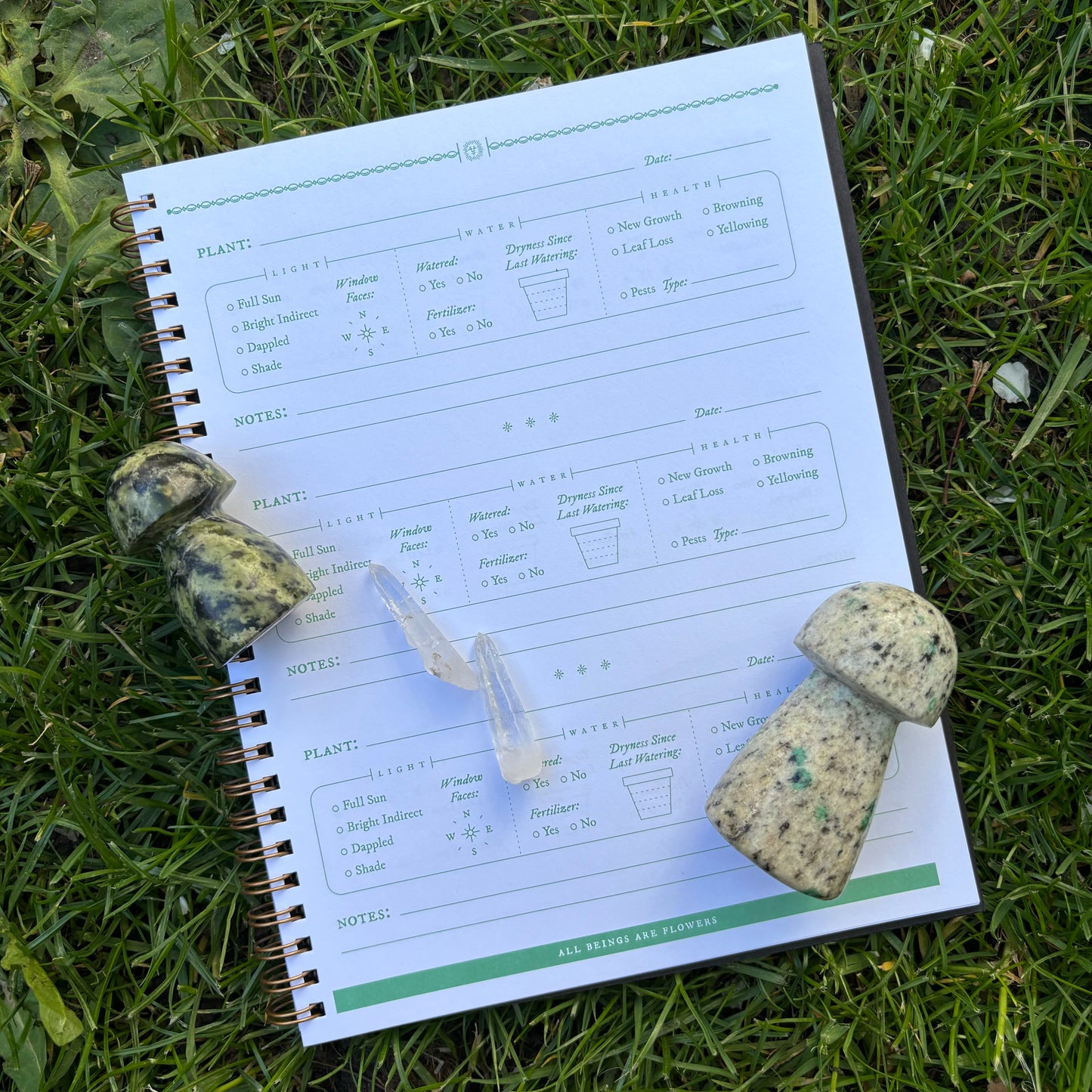 Crystalized Botanist