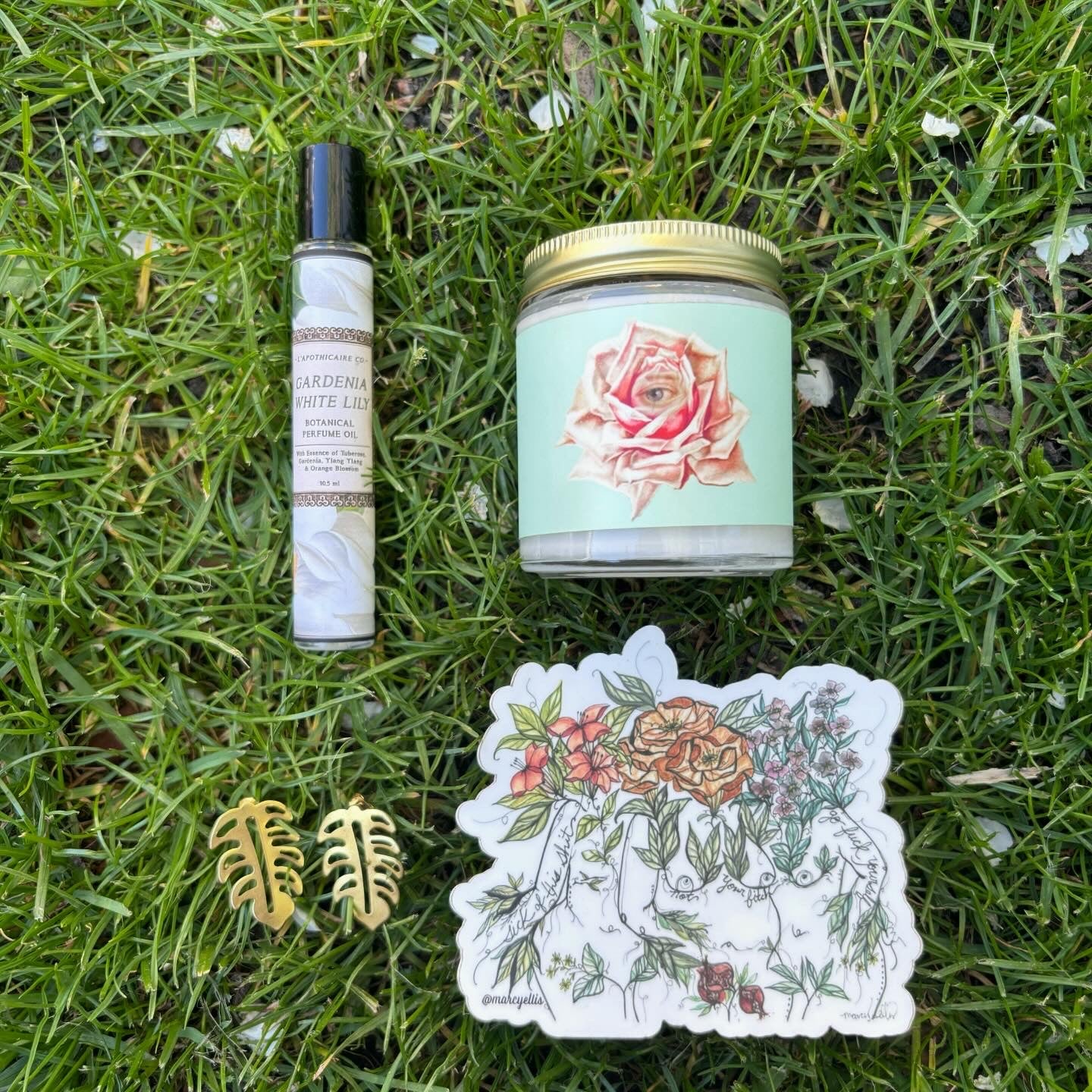 Witnessed in The Garden