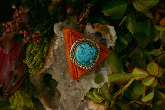 Circle of Life Turquoise Ring