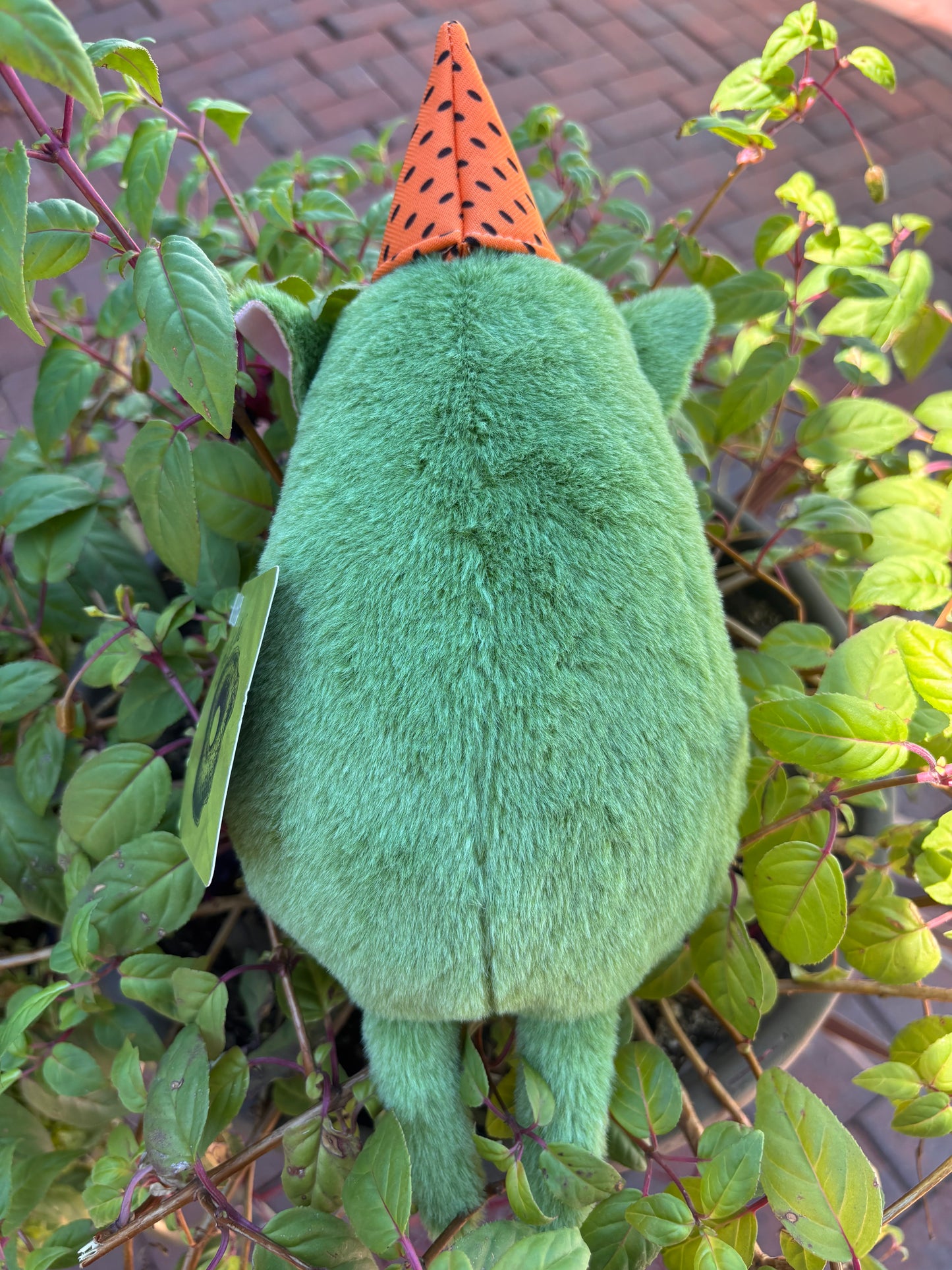 Plusidhe- Peat