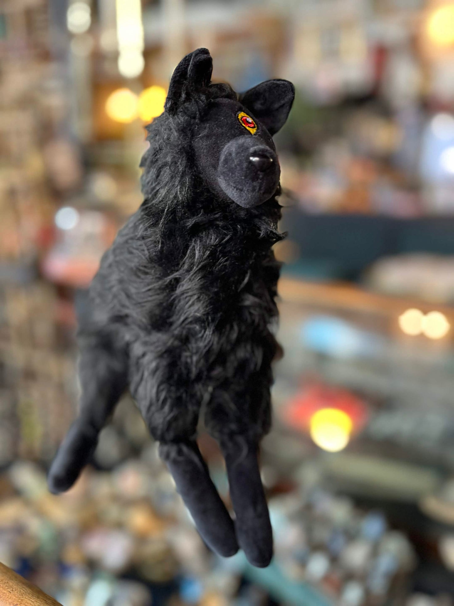 Plusidhe- Black Shuck