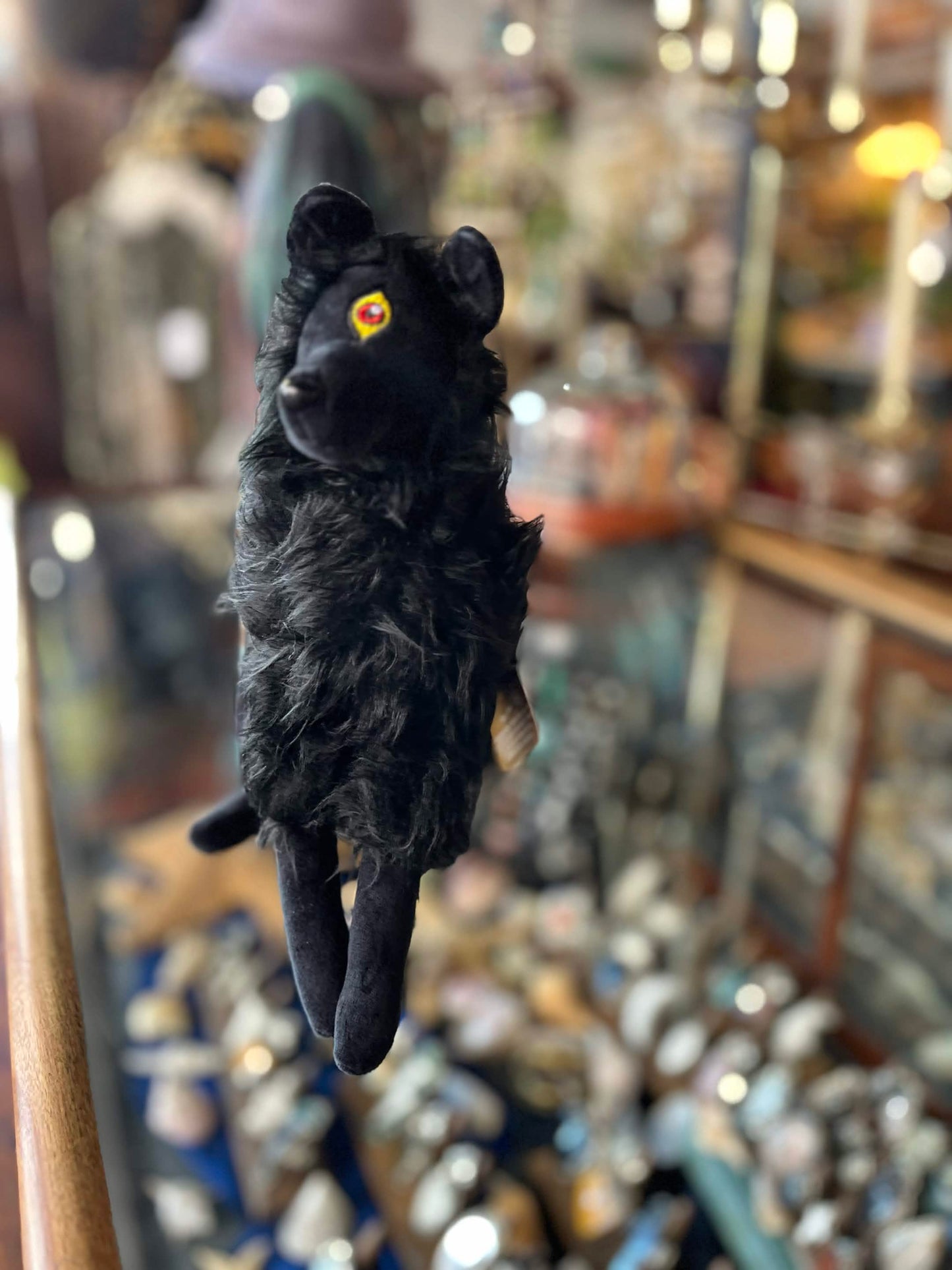 Plusidhe- Black Shuck