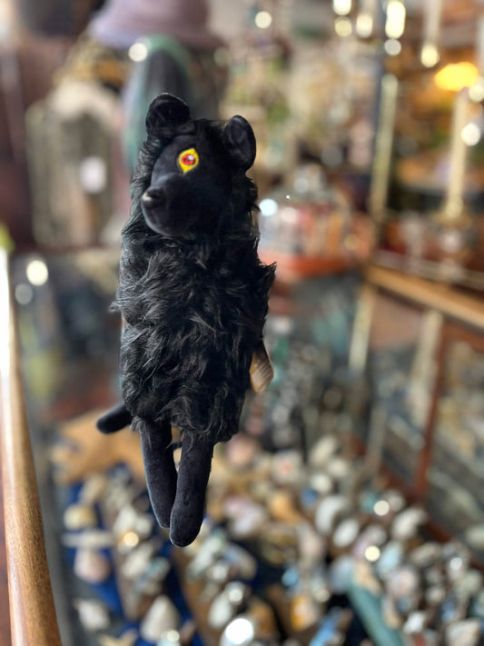 Plusidhe- Black Shuck